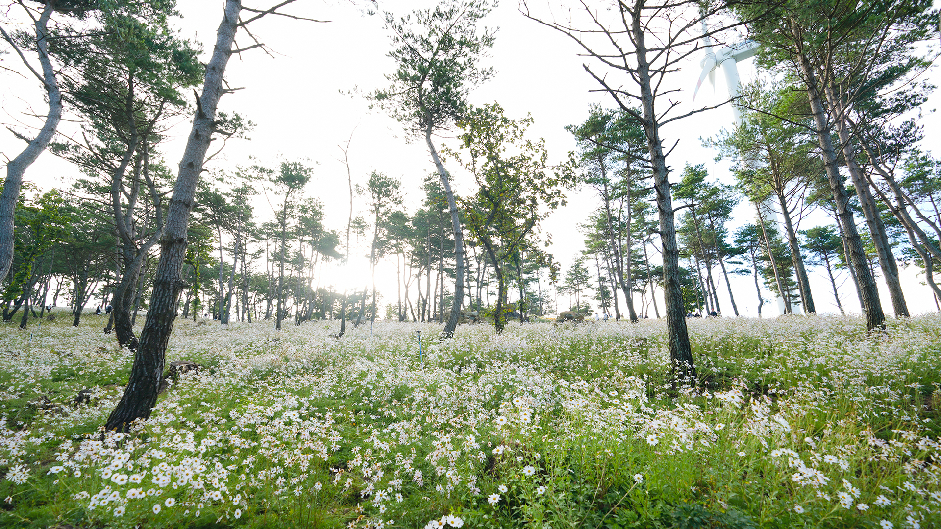 감악산 별바람언덕